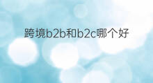 跨境b2b和b2c哪个好 b2c和b2b对比