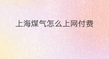 上海煤气怎么上网付费 特斯拉怎么上网付费充电