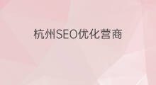 杭州SEO优化营商 seo优化杭州