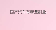 国产汽车有哪些副业 国产的汽车有哪些副业