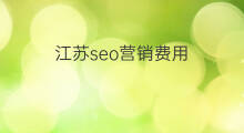 江苏seo营销费用 江苏seo费用