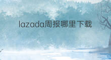 lazada周报哪里下载 lazada在哪里下载