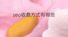 seo收费方式有哪些 seo优化方式有哪些