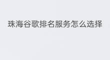 珠海谷歌排名服务怎么选择 珠海谷歌排名怎么选择