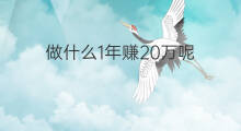 做什么1年赚20万呢 做什么1年赚20万银子