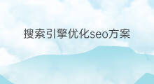 搜索引擎优化seo方案 合肥搜索引擎优化方案