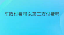 车险付费可以第三方付费吗 chatgpt第三方