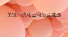 关键词优化公司怎么挑选 关键词优化公司