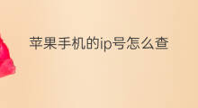 苹果手机的ip号怎么查 苹果手机的ip号怎么申请