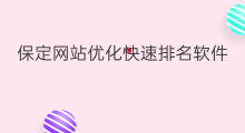 保定网站优化快速排名软件 保定网站快速排名优化报价