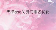 天津aso关键词排名优化 天津关键词网站排名优化