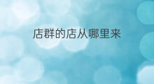店群的店从哪里来 抖店店群流量哪里来