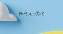 长岛seo优化 seo优化seo教程