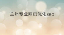 兰州专业网页优化seo 兰州seo优化行业
