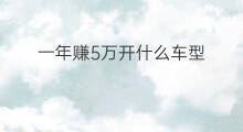 一年赚5万开什么车型 什么人一年赚5万