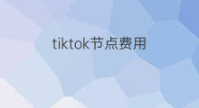 tiktok节点费用 tiktok短信费用