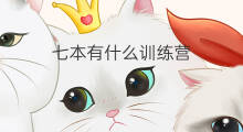 七本有什么训练营 12本有训练营吗