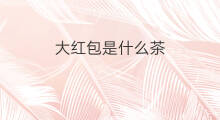 大红包是什么茶 怎么抢大红包
