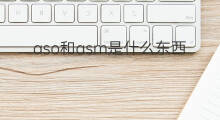 aso和asm是什么东西 aso是什么东西