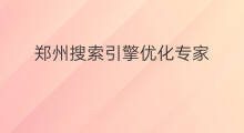 郑州搜索引擎优化专家 郑州外贸搜索引擎优化