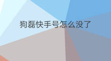 狗磊快手号怎么没了 狗磊的快手号怎么没了