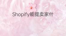 Shopify能提卖家什么服务 shopify上什么卖家多