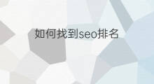 如何找到seo排名 seo网站排名如何