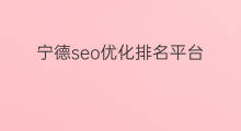 宁德seo优化排名平台 宁德seo优化公司