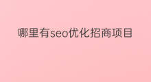 哪里有seo优化招商项目 中国seo优化招商项目