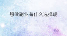 想做副业有什么选择呢 想做副业有什么感觉呢