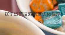 辽宁运营搜索引擎优化程序 辽宁常规搜索引擎优化程序