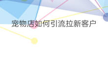 宠物店如何引流拉新客户 宠物店如何引流拉新