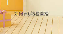 如何在b站看直播 可以看b站的直播