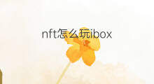 nft怎么玩ibox nft是怎么玩