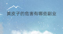 黄皮子的危害有哪些副业 chatgpt的危害