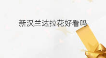 新汉兰达拉花好看吗 新汉拉达车载导航怎么更新