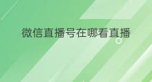 微信直播号在哪看直播 微信直播号信息在哪里看