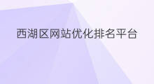 西湖区网站优化排名平台 西湖区网站优化排名