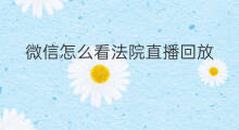 微信怎么看法院直播回放 微信怎么看法院直播