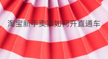淘宝新手卖家如何开直通车 淘宝卖家直通车在哪