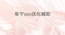 阜宁seo优化辅助 阜宁seo优化推广