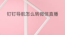 钉钉导航怎么转微信直播 钉钉直播怎么在微信