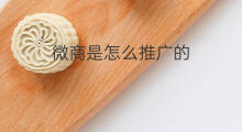 微商是怎么推广的 微商怎么推广