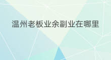 温州老板业余副业在哪里 温州淘宝城在哪里