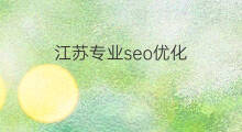 江苏专业seo优化 江苏seo专业优化