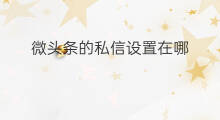 微头条的私信设置在哪 发布的微头条怎么设置私信