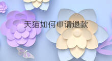 天猫如何申请退款 申请天猫技巧