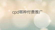 cpd哪种付费推广 seo推广是付费推广吗