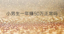 小男生一年赚50万正常吗 汽车一年赚50万正常吗