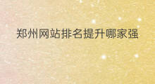 郑州网站排名提升哪家强 网站排名提升哪家